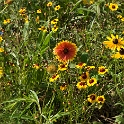 Scenery Montville Duchek 7345